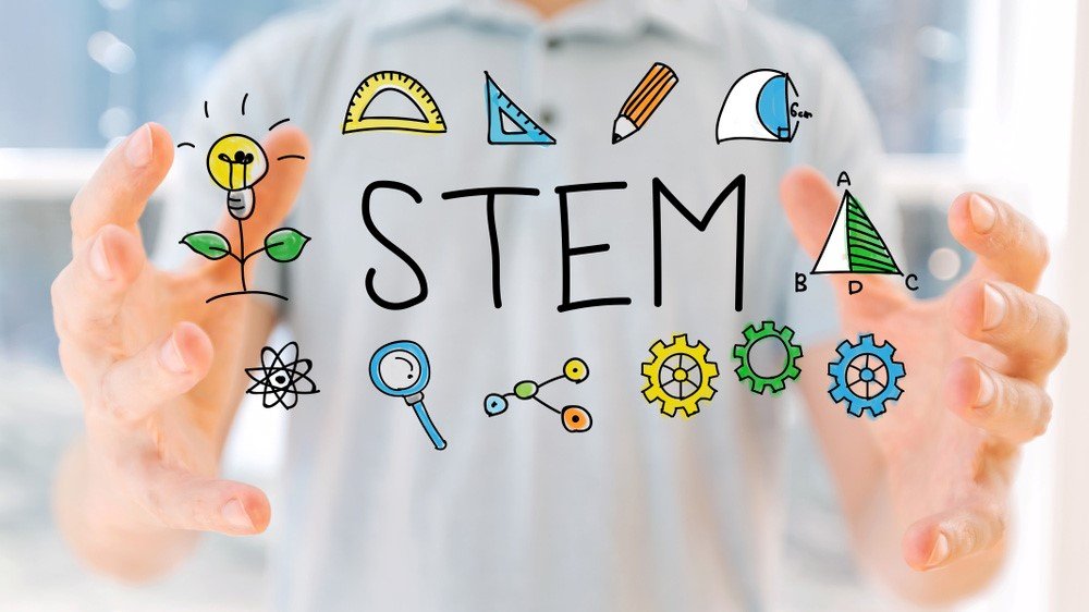 Courses In College Under Stem DrBeckmann