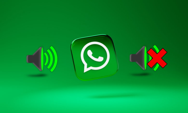 Fix WhatsApp Voice Message Volume Problem on iPhone