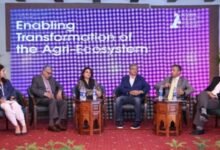 Reimagine Agriculture in Pakistan Acumen Draws up Key Player