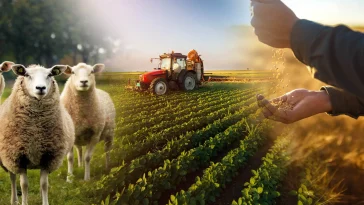 The Most Important Impact of the Internet of Things on Pakistan's Agriculture Sector in 2023