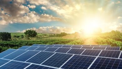 The Potential of Renewable Energy in Pakistan's Tech Sector in 2023