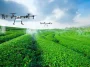 The Potential of Drones in Pakistan's Agriculture Sector in 2023