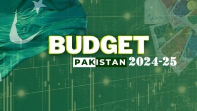 Budget 2024-25 for Pakistan