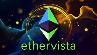 What is EtherVista