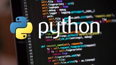 10 Basic Python Terms Every Programmer Should Know