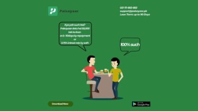 Paisayaar App