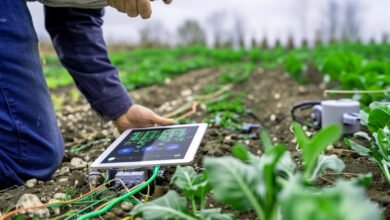 The Role of IoT in Pakistan’s Agriculture Industry