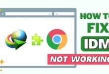 Fix IDM Advanced Browser Integration Not Working