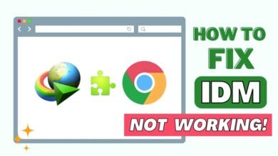 Fix IDM Advanced Browser Integration Not Working