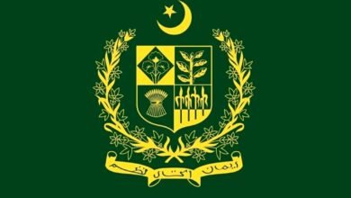 Top Government Schemes for Startups & Freelancers in Pakistan