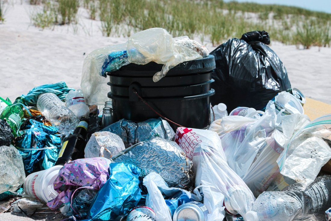 Why Are Plastic Bags Harmful