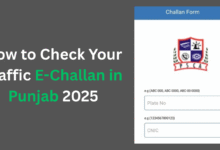 How to Check Your Traffic E-Challan in Punjab 2025