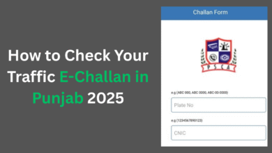 How to Check Your Traffic E-Challan in Punjab 2025