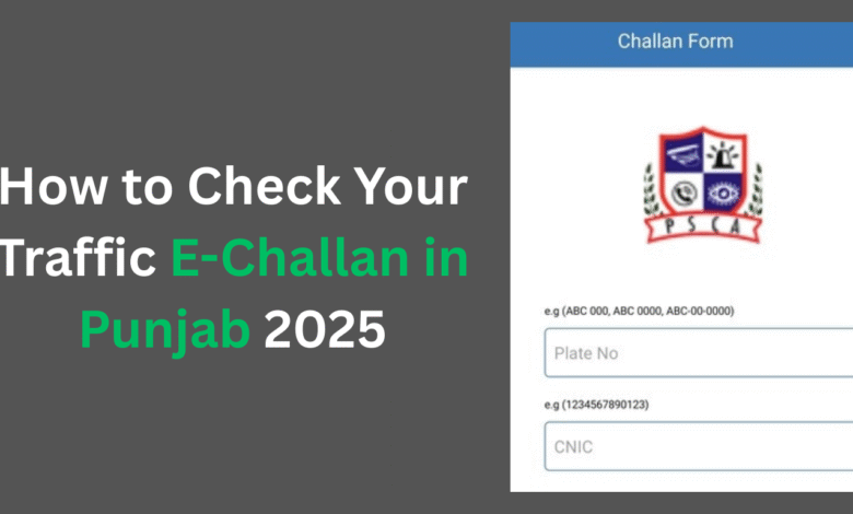 How to Check Your Traffic E-Challan in Punjab 2025