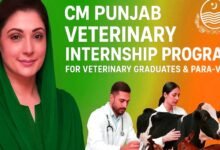 CM Punjab Veterinary Internship Program 2025