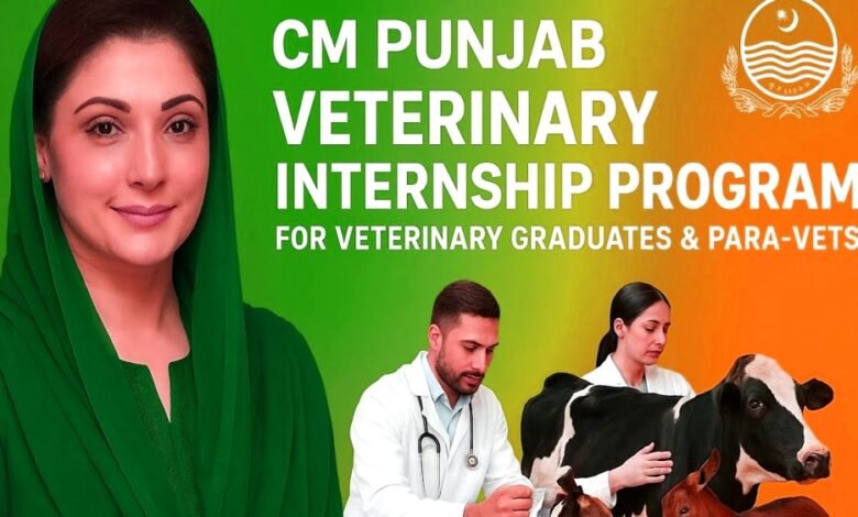 CM Punjab Veterinary Internship Program 2025