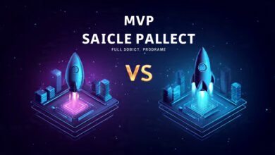 MVP vs Full-Scale Product